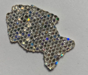 Fisch silber irisierend